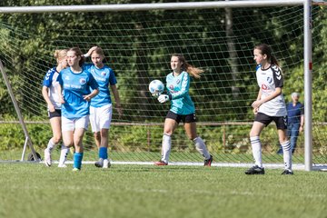 Bild 247 - wBJ VfL Pinneberg - Germania Schnelsen : Ergebnis: 15:1